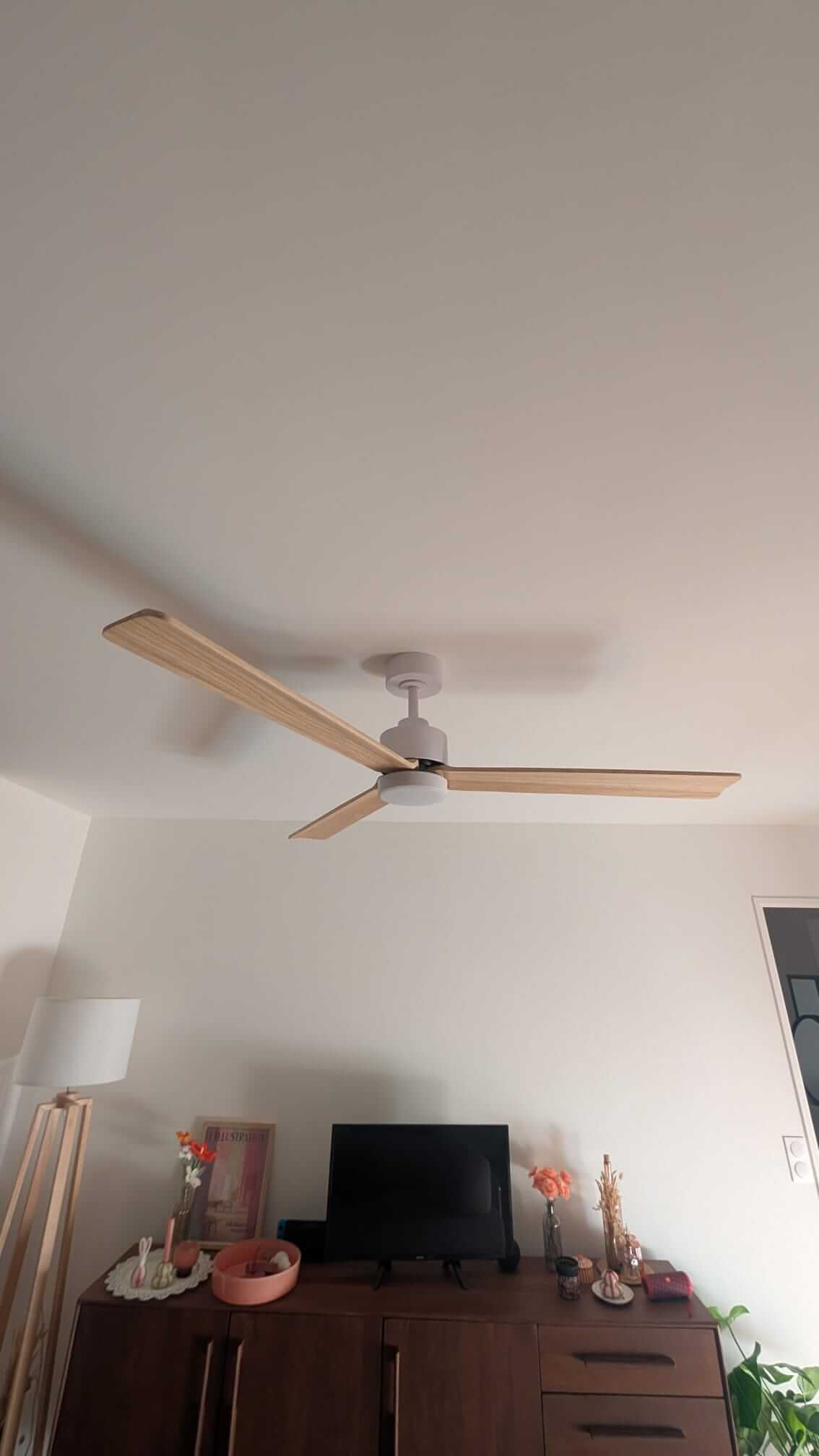 Ventilateur de plafond CREATE taille L installé à Saint-Ouen-sur-Seine en pleine canicule